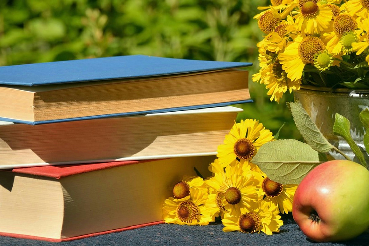 Liberare i libri da muffa e polvere: strategie efficaci per recuperarli in modo perfetto